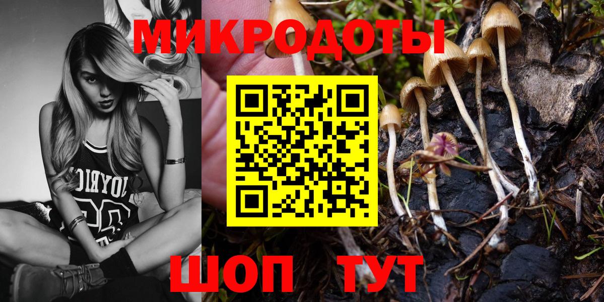 Псилоцибиновые грибы GOLDEN TEACHER Магадан