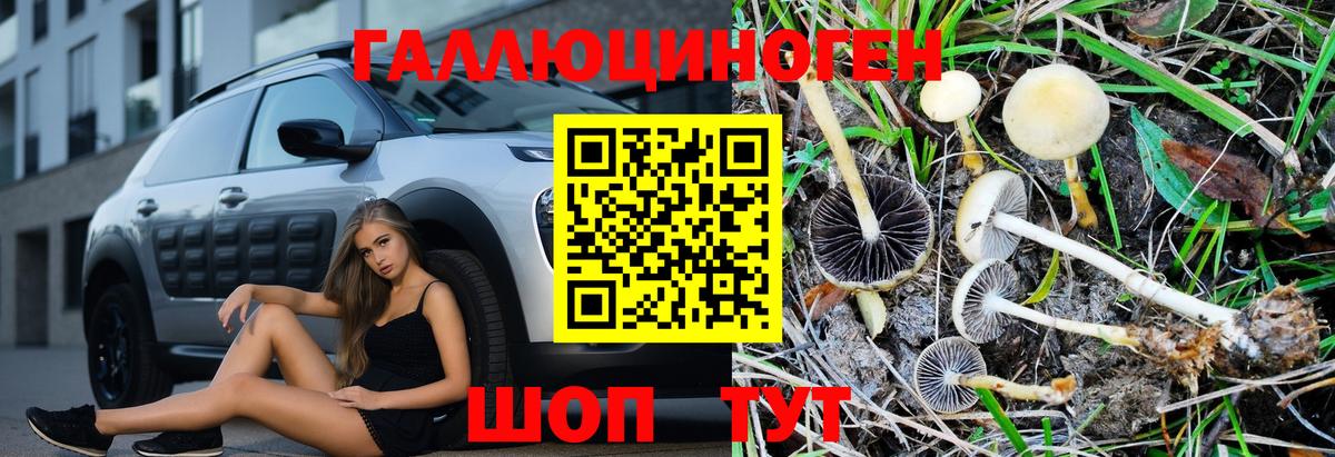 Псилоцибиновые грибы ЛСД  Вход с VPN  Псилоцибиновые грибы Psilocybine cubensis  Магадан 