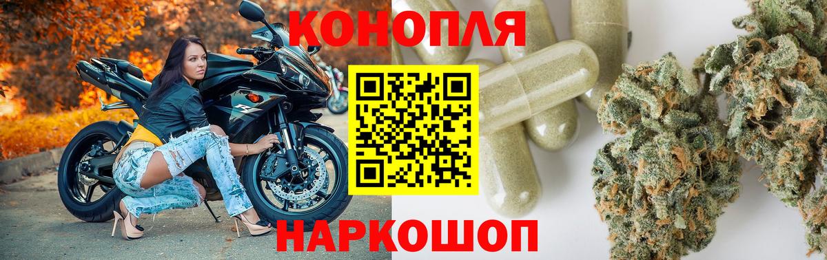 Марихуана планчик  Конопля тримм  Вход с VPN  Магадан  Марихуана тримм 